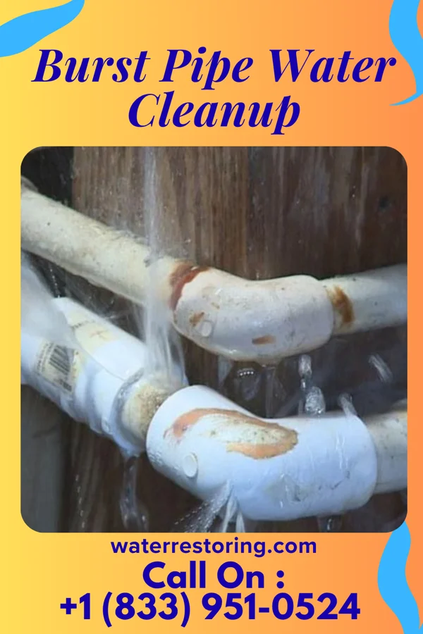 Burst Pipe Water Cleanup in Toronto, IA