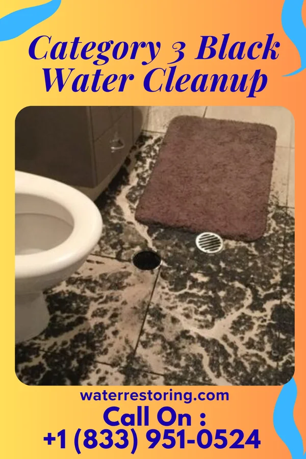 Category 3 Black Water Cleanup in Toronto, IA