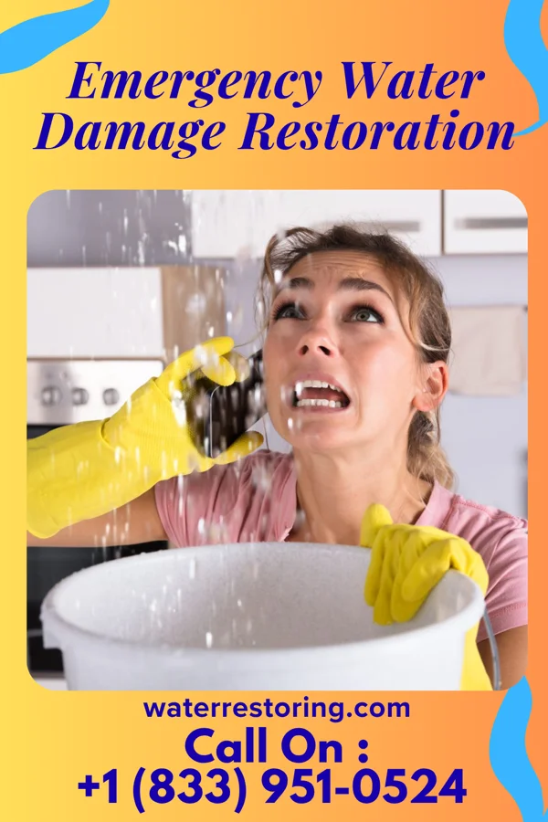Emergency Water Damage Restoration in Toronto, IA
