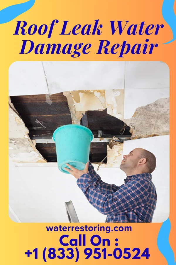 Roof Leak Water Damage Repair in Toronto, IA
